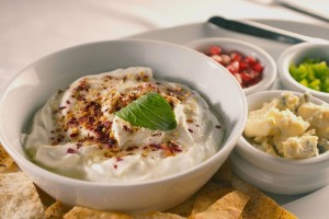 Yogurt vs Jocoque, ¿cuál es mejor?