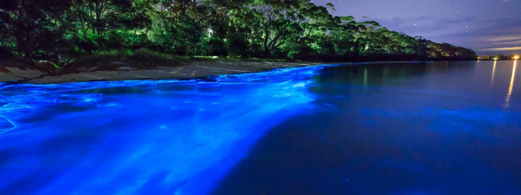 Maniatltepec_Featured-1800x675