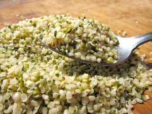 Semillas de Hemp, un súper alimento