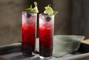 Mojito de Zarzamoras