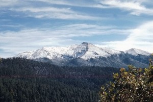 Cumbres de Ajusco