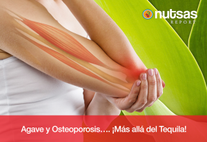 Agave y Osteoporosis