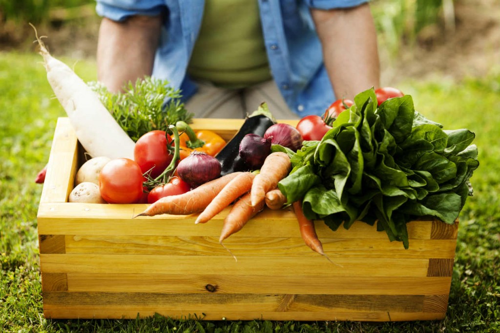 Alimentos Orgánicos 