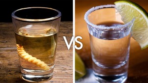 Mezcal vs Tequila