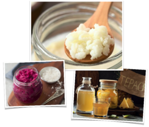 ¿Qué son los fermentos?